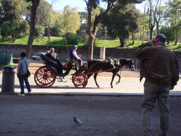 大阪府・20代・イタリア周遊