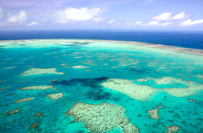 世界最大のサンゴ礁が広がる海