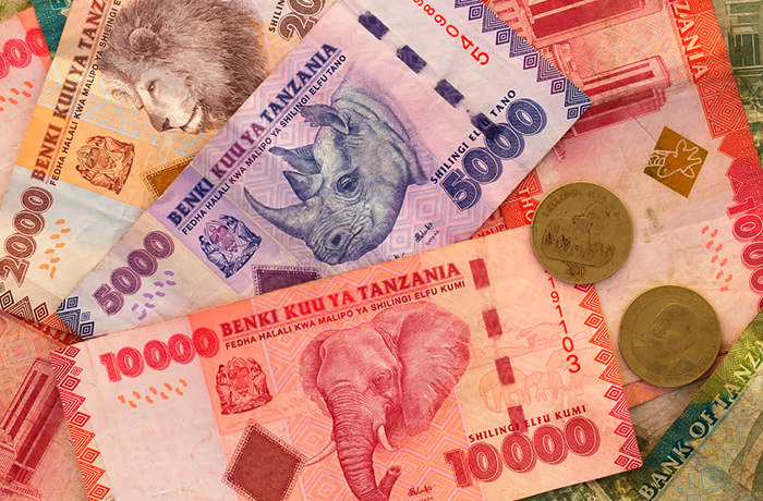 タンザニアの通貨・両替・税関