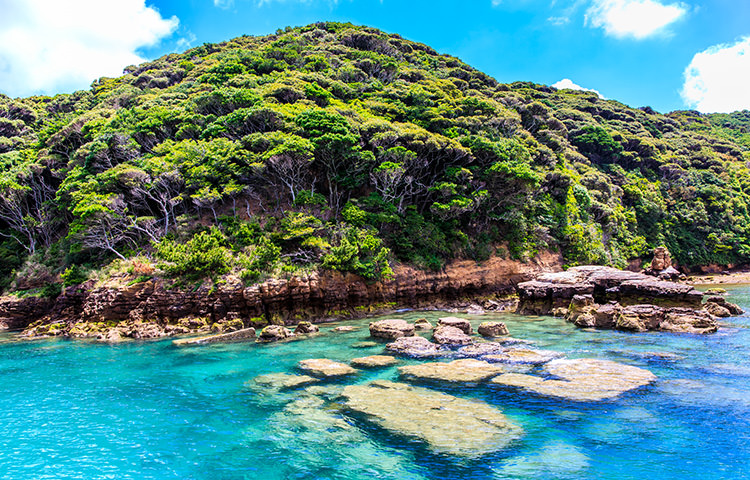 壱岐随一の美しい海と断崖絶壁を楽しめる「辰ノ島クルージング」
